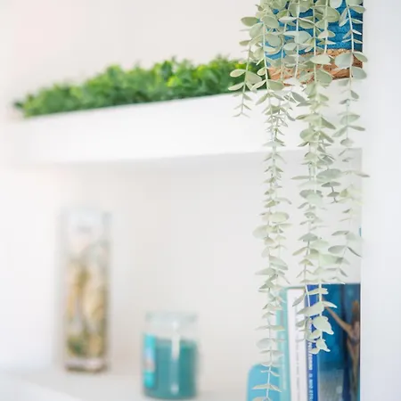 Apartament L'ancora *